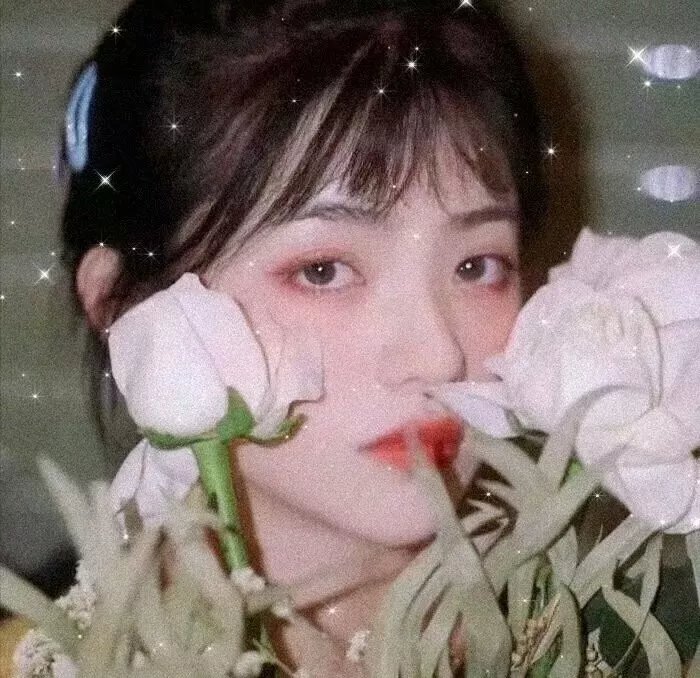 少女革命:思春期默示录